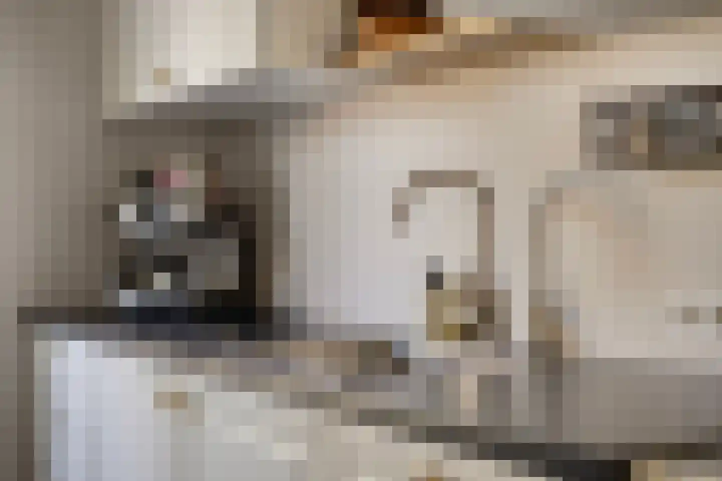 Louis Couperusstraat 66 Gemert thumbnail 33