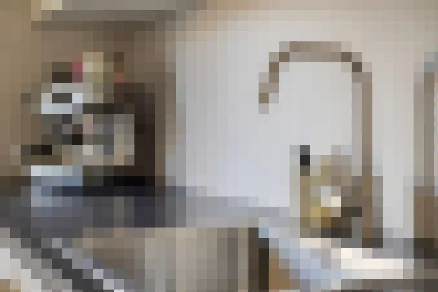 Louis Couperusstraat 66 Gemert thumbnail 34