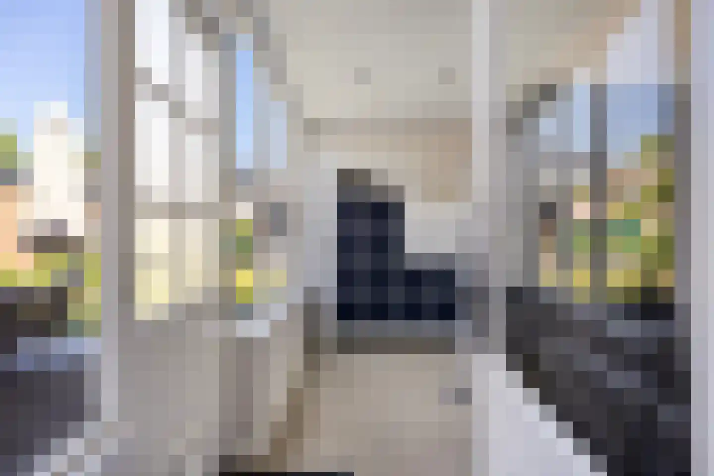 Louis Couperusstraat 66 Gemert thumbnail 36