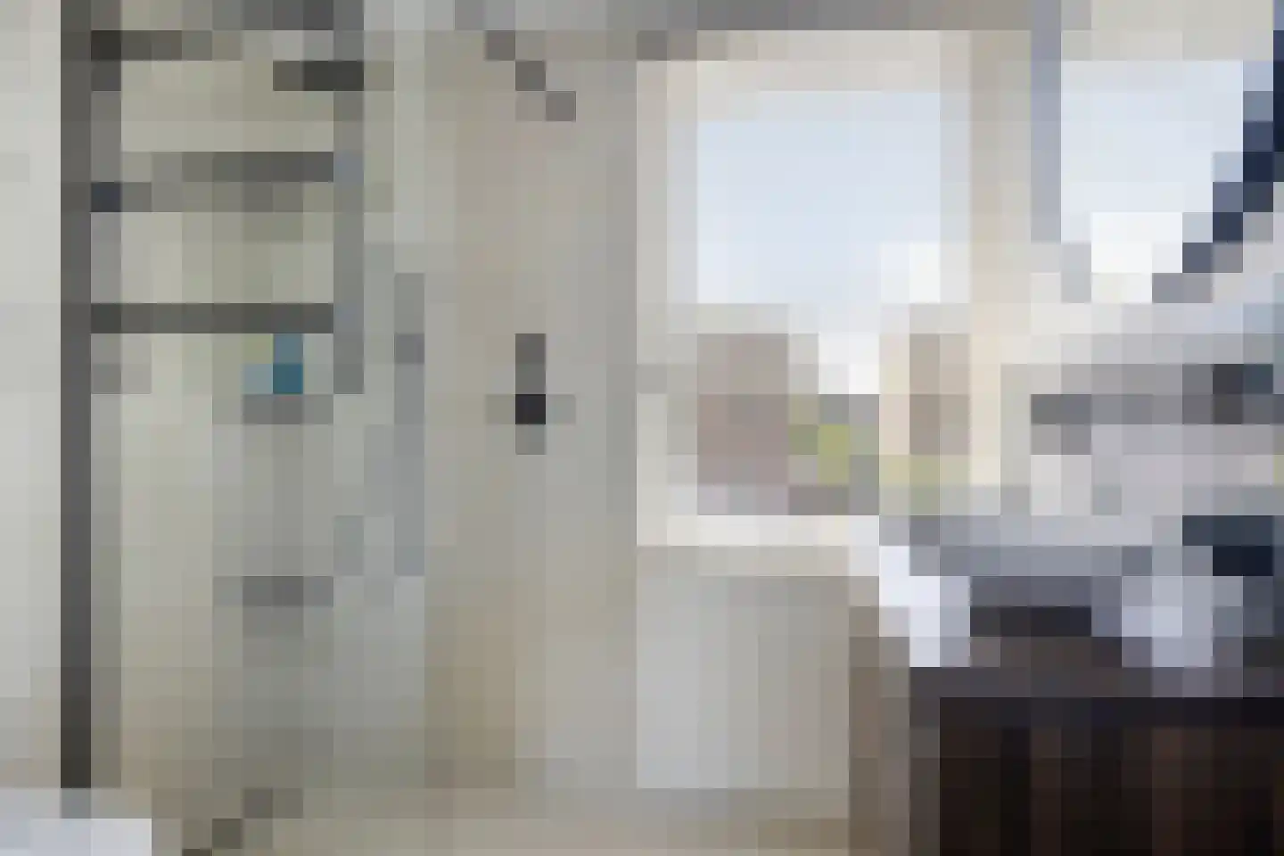 Louis Couperusstraat 66 Gemert thumbnail 46