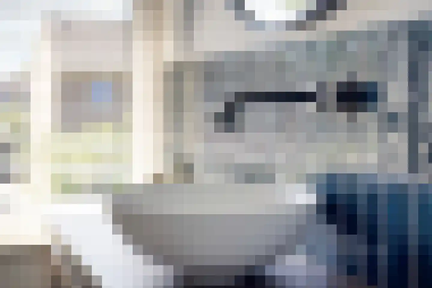 Louis Couperusstraat 66 Gemert thumbnail 51