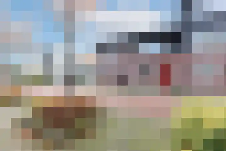 Louis Couperusstraat 69 Alkmaar thumbnail 36