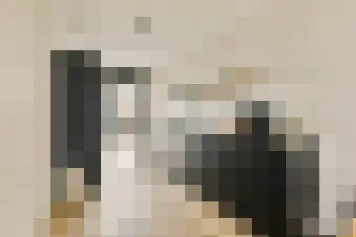Louis Couperusstraat 7 Waddinxveen thumbnail 12