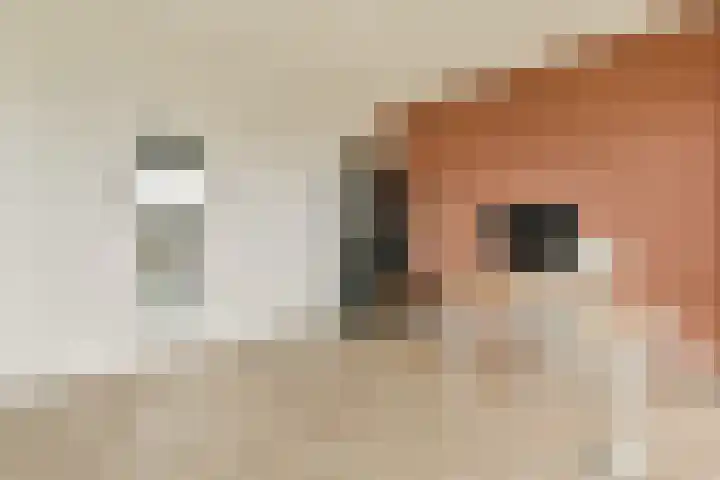 Louis Couperusstraat 7 Waddinxveen thumbnail 22