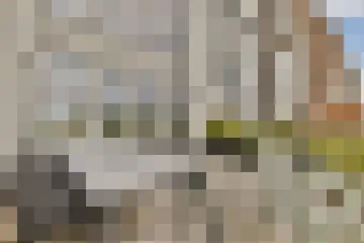 Louis Couperusstraat 7 Waddinxveen thumbnail 36