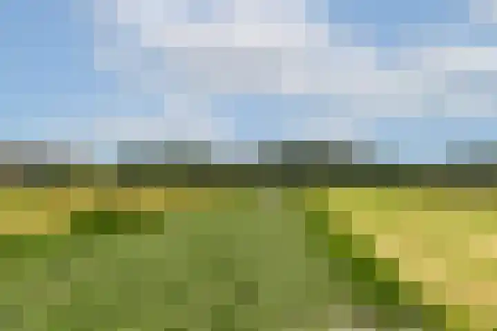 Louis Couperusstraat 7 Waddinxveen thumbnail 37