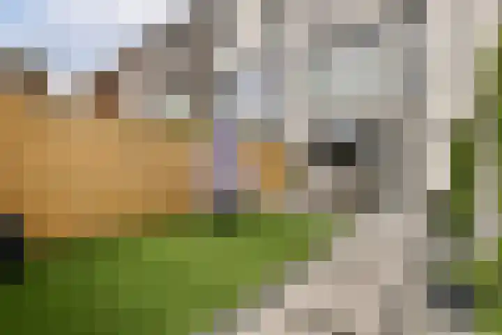 Louis Couperusstraat 7 Waddinxveen thumbnail 7