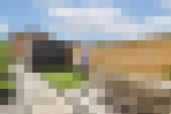 Louis Couperusstraat 7 Waddinxveen thumbnail 8