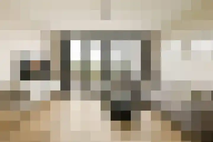 Louis Couperusstraat 7 Waddinxveen thumbnail 9