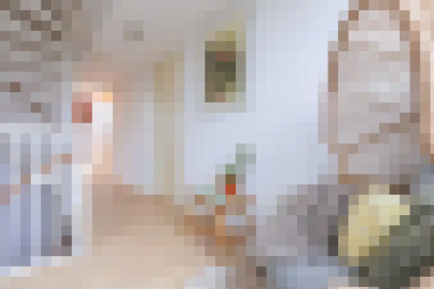 Louis Couperusstraat 76 Alkmaar thumbnail 25