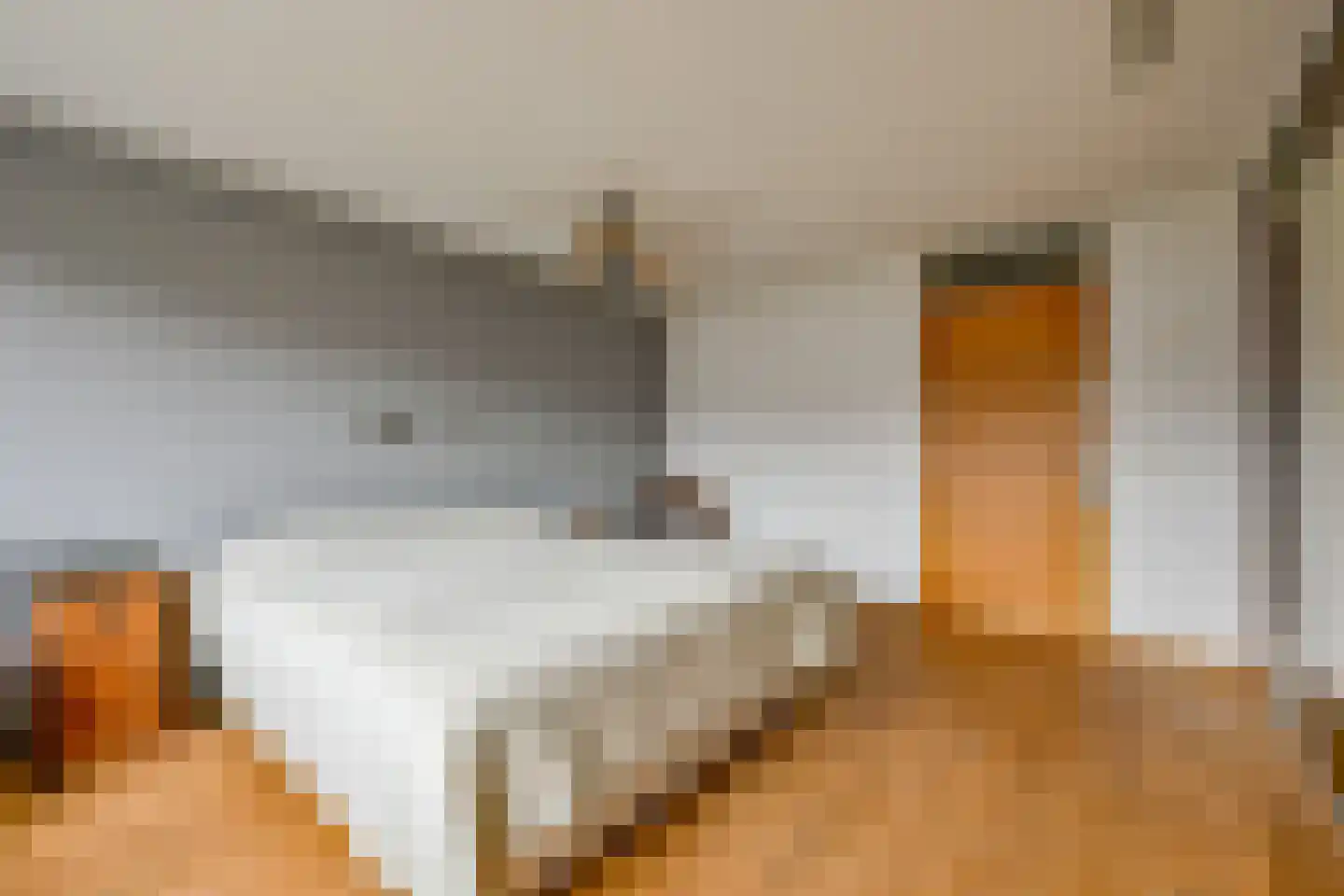 Louis Couperusstraat 77 Alkmaar thumbnail 13