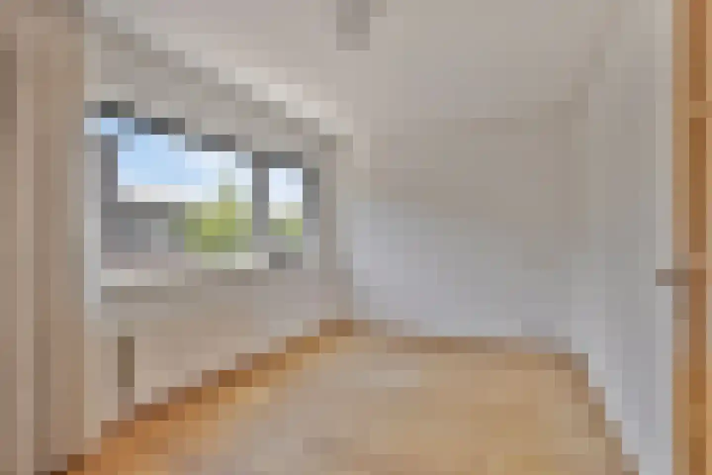 Louis Couperusstraat 77 Alkmaar thumbnail 19