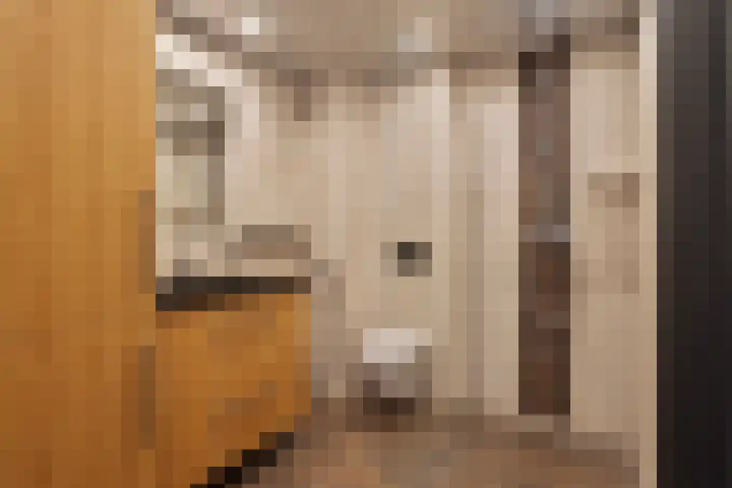 Louis Couperusstraat 77 Alkmaar thumbnail 4
