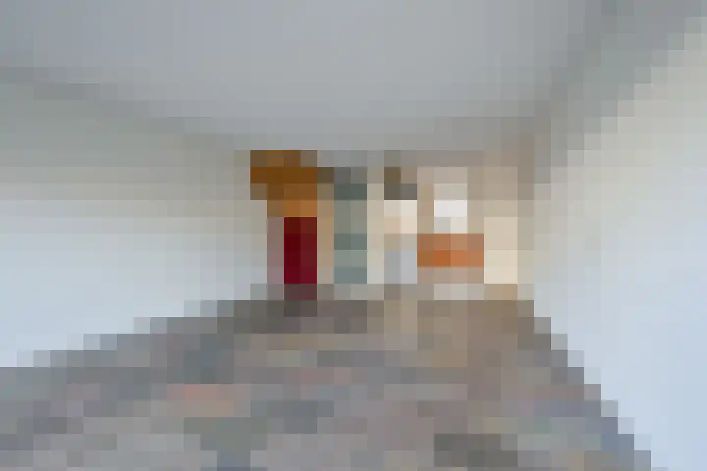 Louis Couperusstraat 77 Alkmaar thumbnail 6