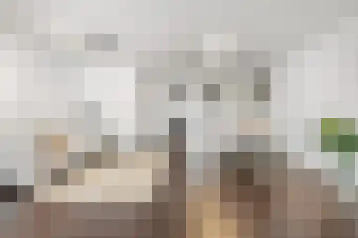 Louis Couperusstraat 8 Utrecht thumbnail 7