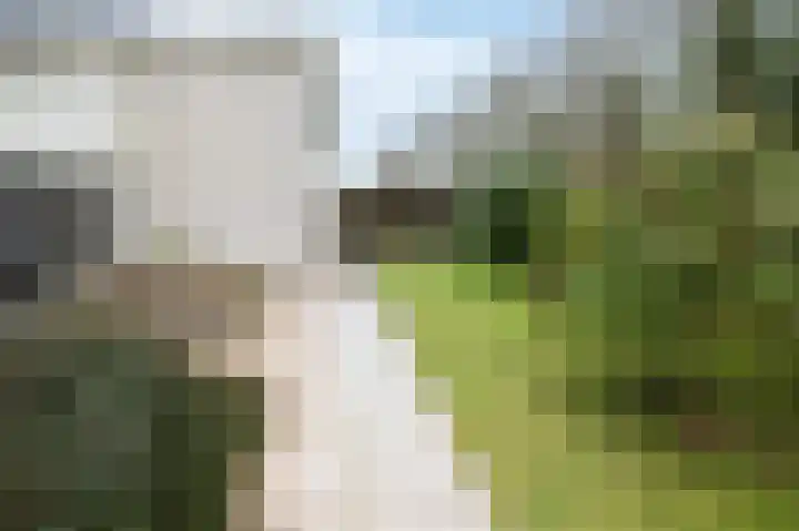 Louis Couperusstraat 8 Zegge thumbnail 31