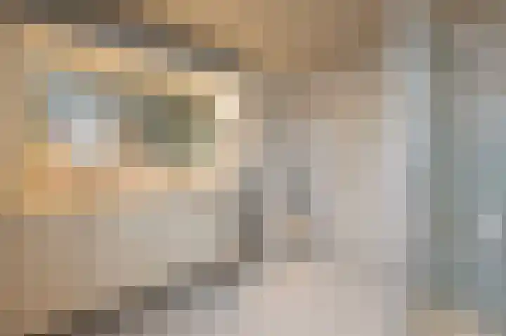 Louis Couperusstraat 8 Zegge thumbnail 36