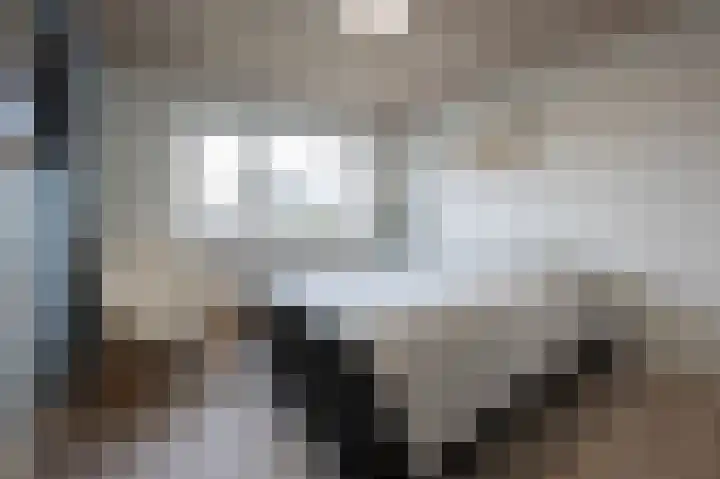 Louis Couperusstraat 8 Zegge thumbnail 42