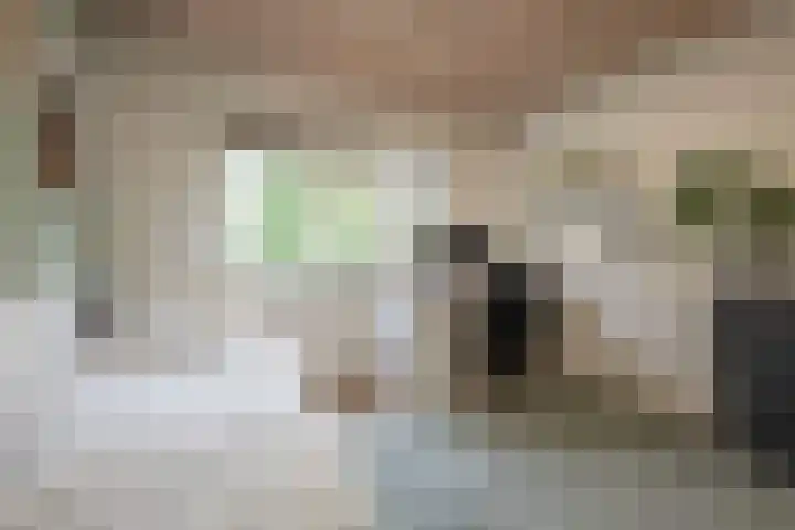 Louis Couperusstraat 8 Zegge thumbnail 45