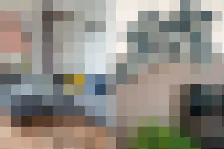 Louis d'Orlaan 1 Berkel en Rodenrijs thumbnail 12