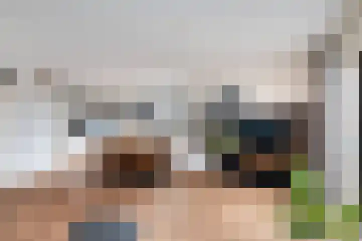 Louis d'Orlaan 1 Berkel en Rodenrijs thumbnail 13