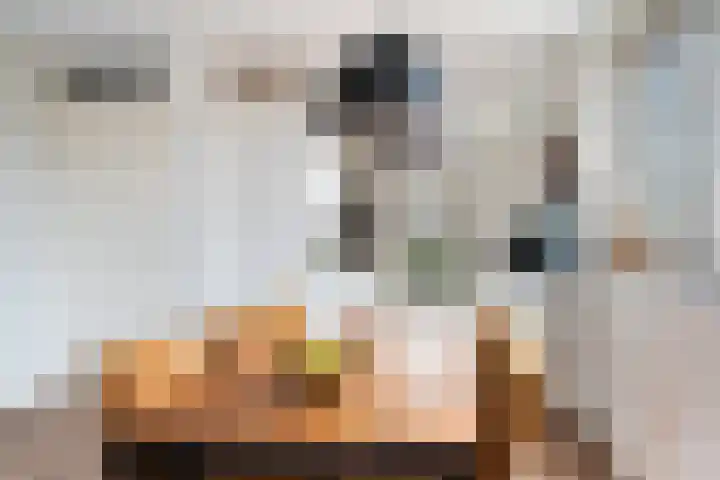 Louis d'Orlaan 1 Berkel en Rodenrijs thumbnail 15
