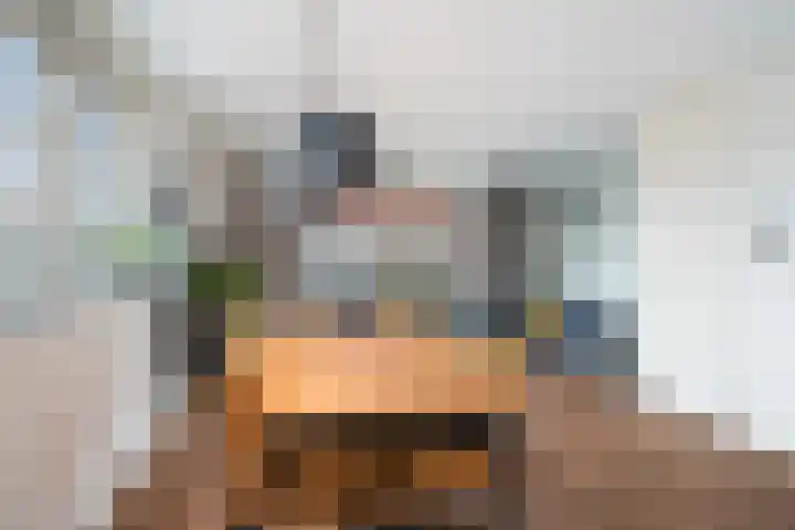 Louis d'Orlaan 1 Berkel en Rodenrijs thumbnail 18