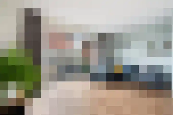 Louis d'Orlaan 1 Berkel en Rodenrijs thumbnail 19