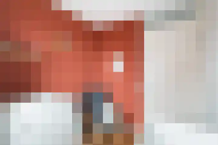 Louis d'Orlaan 1 Berkel en Rodenrijs thumbnail 27