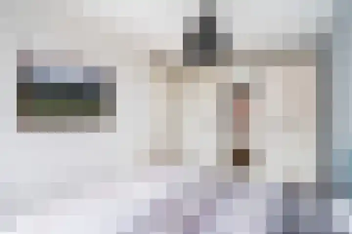Louis d'Orlaan 1 Berkel en Rodenrijs thumbnail 30