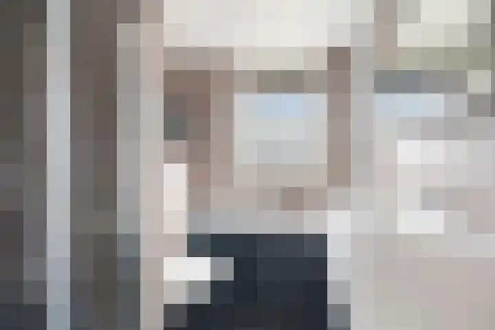 Louis d'Orlaan 1 Berkel en Rodenrijs thumbnail 4