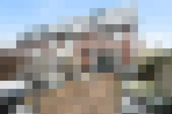 Louis d'Orlaan 1 Berkel en Rodenrijs thumbnail 43