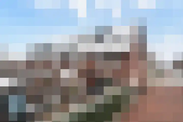 Louis d'Orlaan 1 Berkel en Rodenrijs thumbnail 5