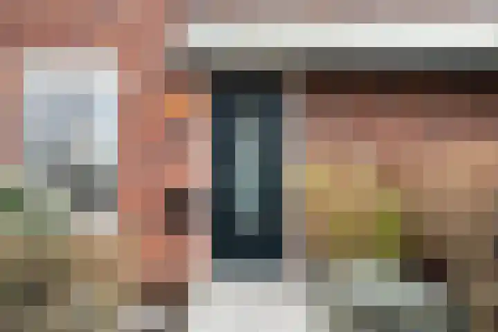 Louis d'Orlaan 1 Berkel en Rodenrijs thumbnail 7