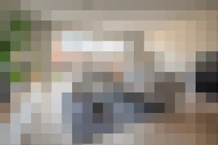 Louis d'Orlaan 20 Berkel en Rodenrijs thumbnail 10