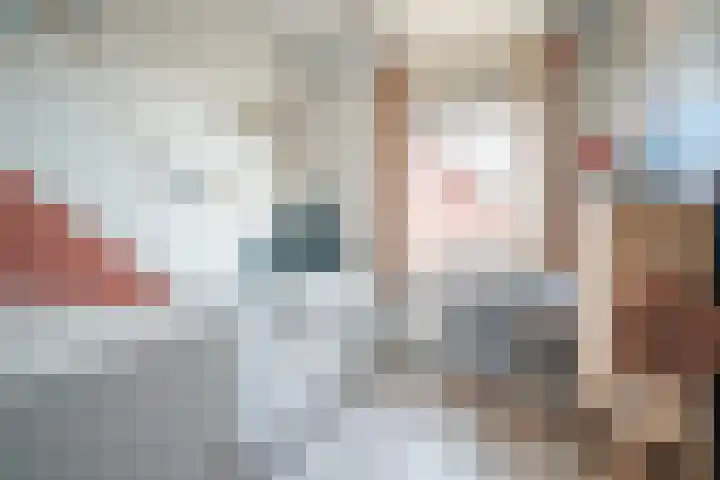 Louis d'Orlaan 20 Berkel en Rodenrijs thumbnail 21