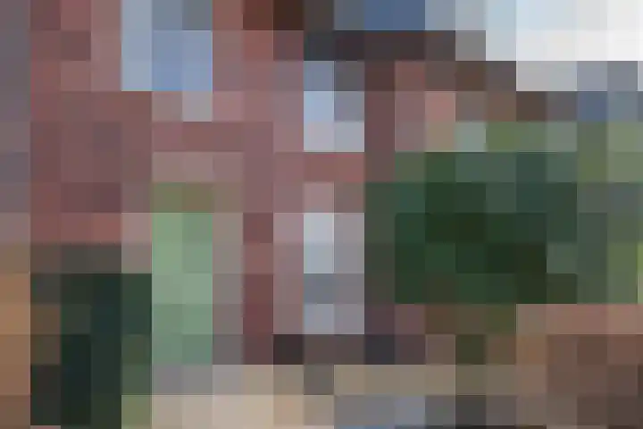 Louis d'Orlaan 20 Berkel en Rodenrijs thumbnail 5