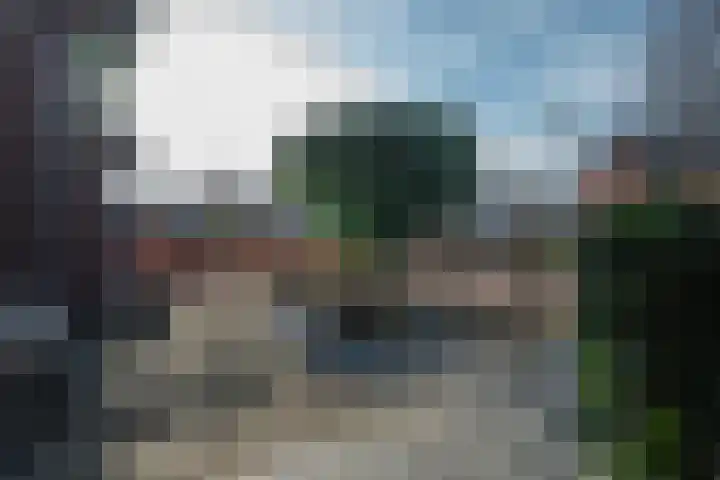 Louis d'Orlaan 20 Berkel en Rodenrijs thumbnail 6