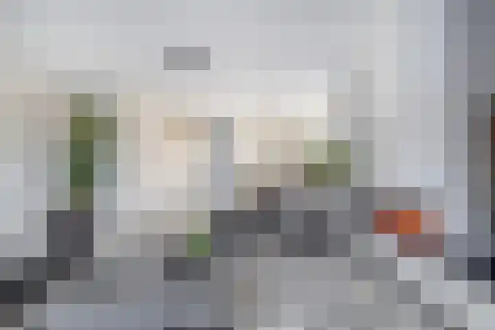 Louis d'Orlaan 28 Berkel en Rodenrijs thumbnail 17