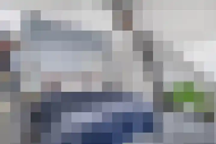 Louis d'Orlaan 28 Berkel en Rodenrijs thumbnail 33