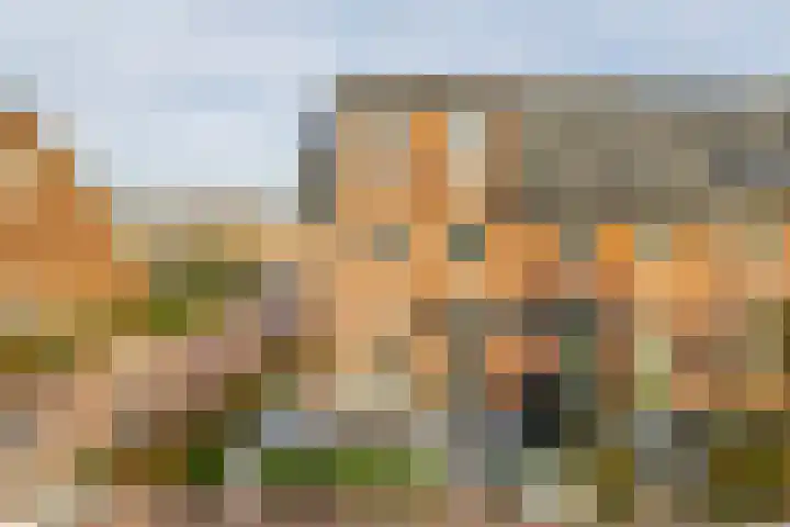 Louis d'Orlaan 28 Berkel en Rodenrijs thumbnail 8