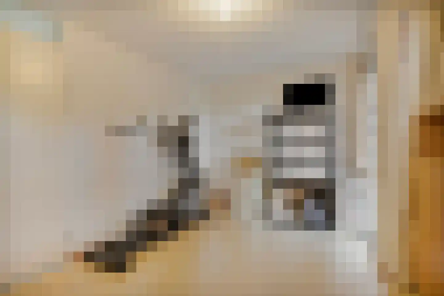 Louis Davidsstraat 128 Almere thumbnail 32