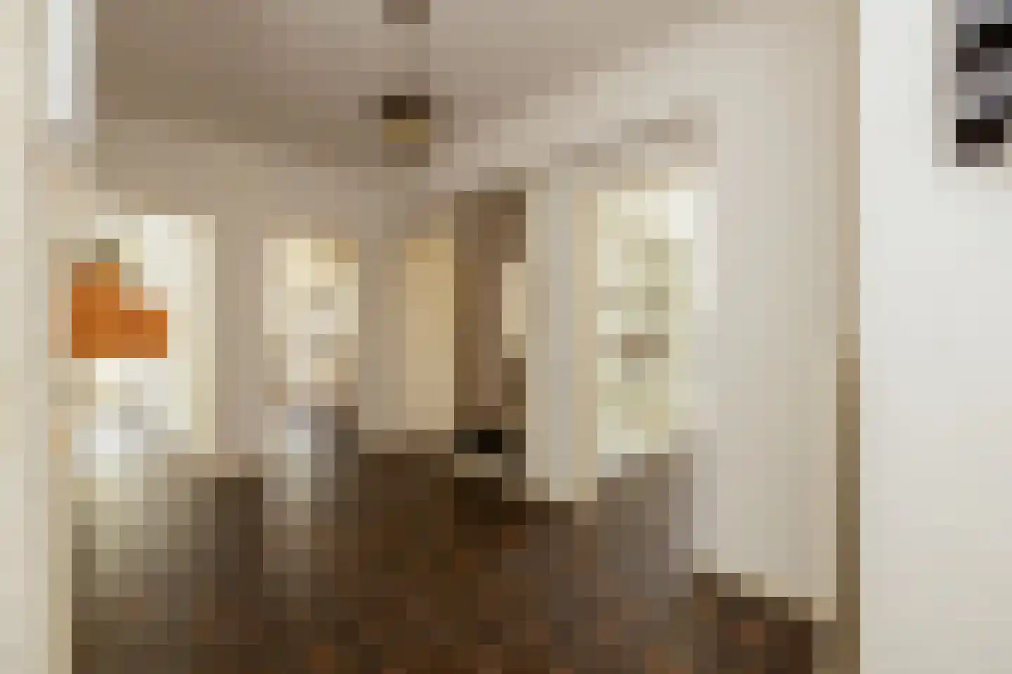 Louis Davidsstraat 143 Den Haag thumbnail 8