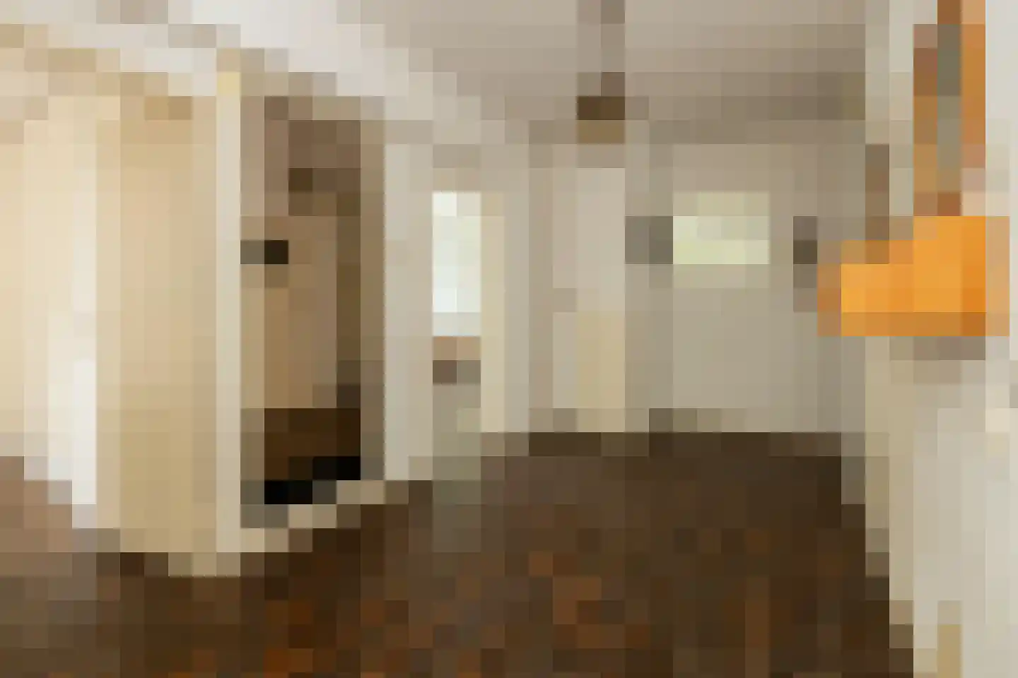 Louis Davidsstraat 143 Den Haag thumbnail 9