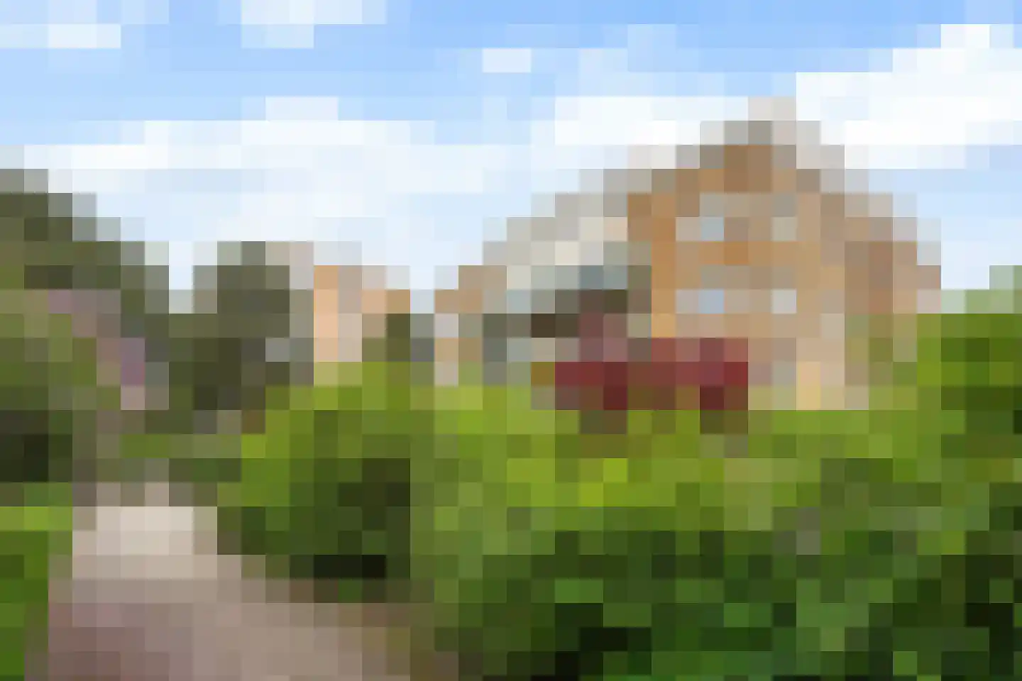 Louis Davidsstraat 146 Den Haag thumbnail 6