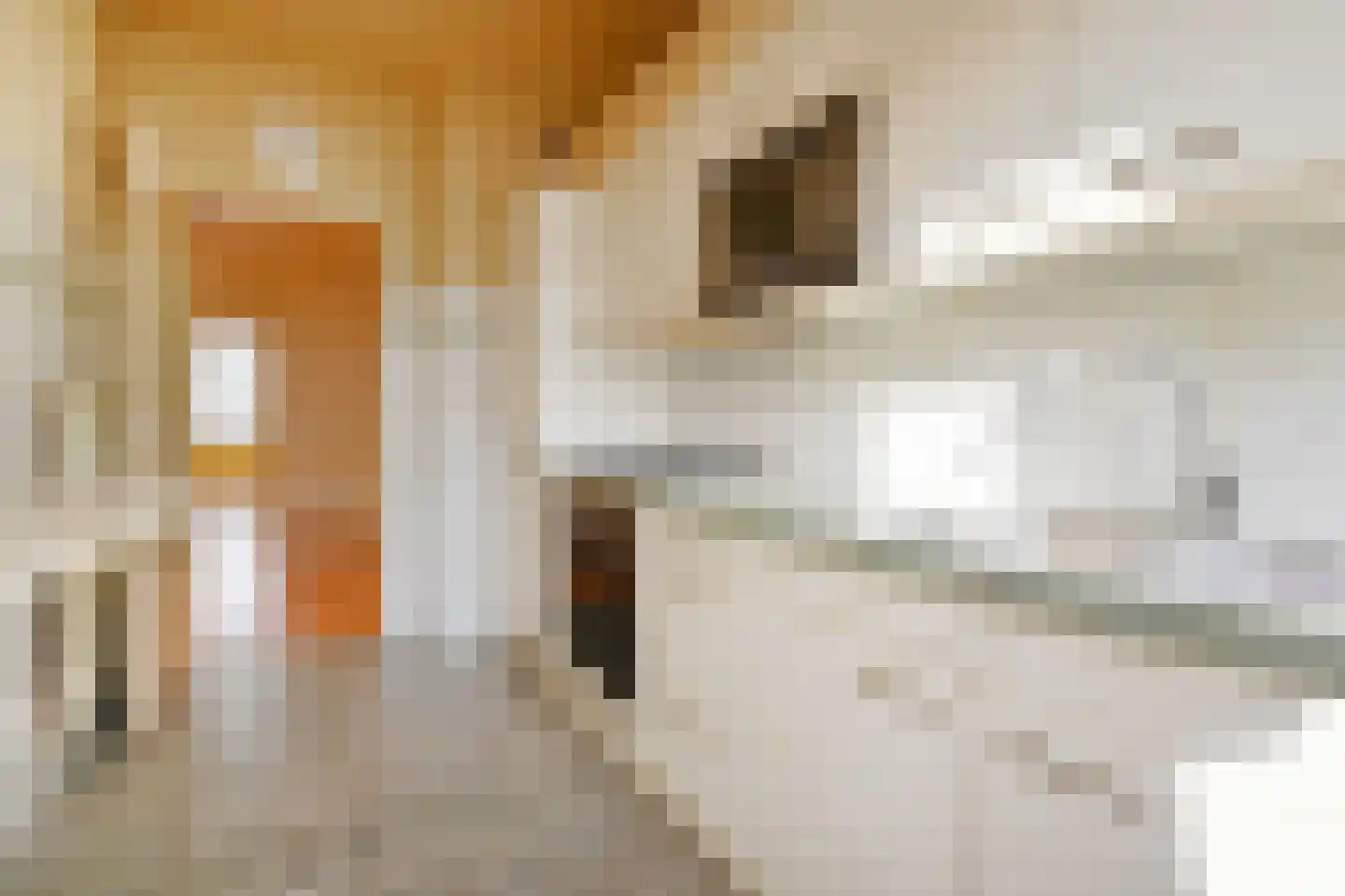 Louis Davidsstraat 207 Den Haag thumbnail 21