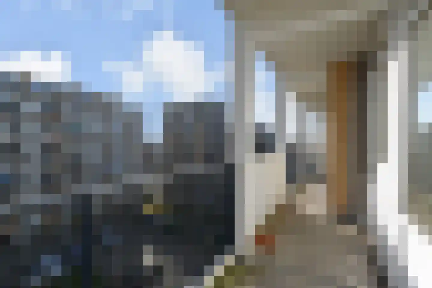 Louis Davidsstraat 207 Den Haag thumbnail 31