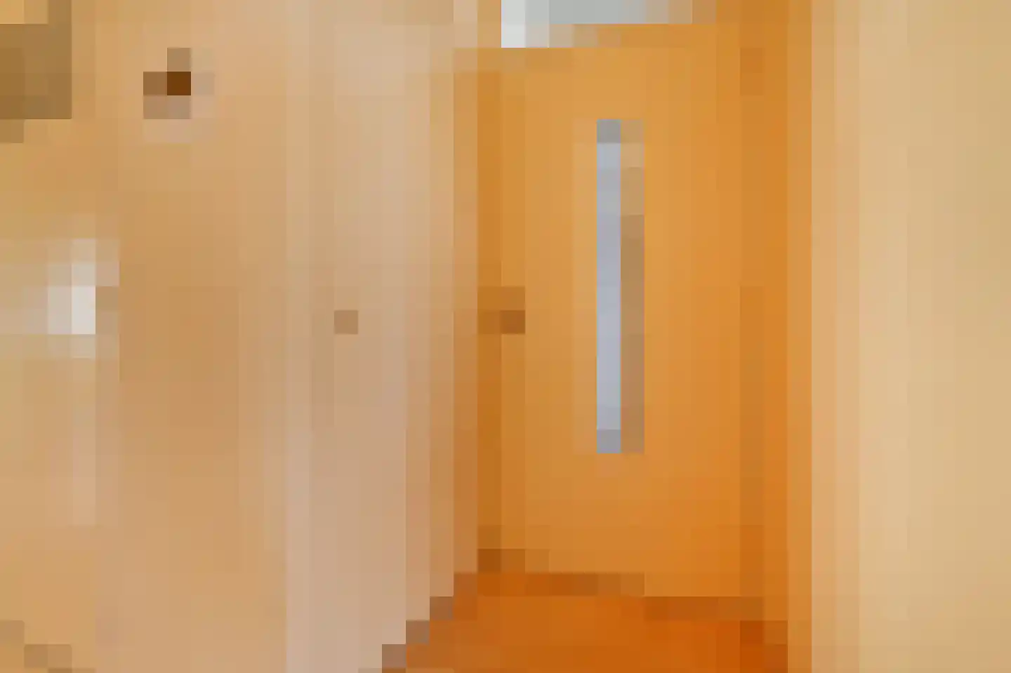 Louis Davidsstraat 207 Den Haag thumbnail 8