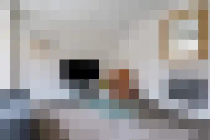 Louis Davidsstraat 25 Hengelo thumbnail 11
