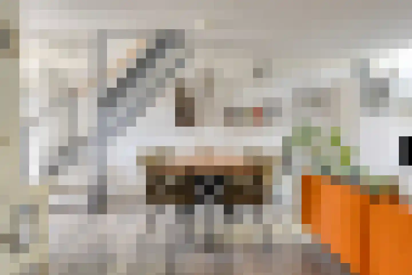 Louis Davidsstraat 250 Almere thumbnail 13